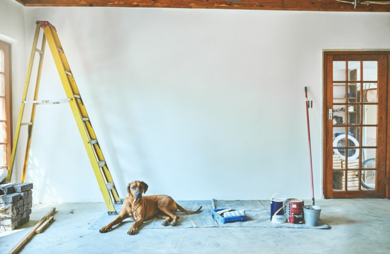 Shot of an empty room undergoing renovations